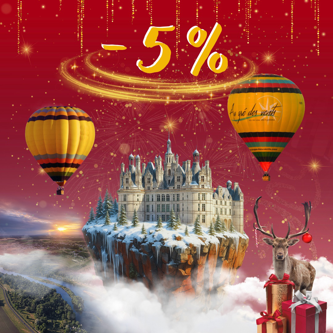 Vols privilèges Noël