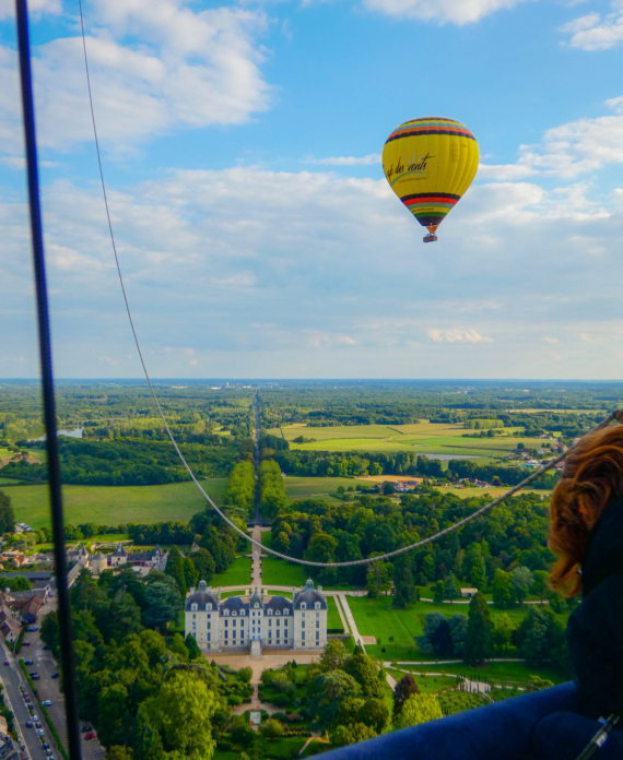 Vol à Cheverny